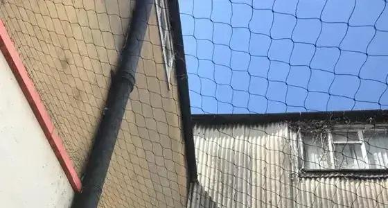 Bird Netting Solutions Milton Keynes