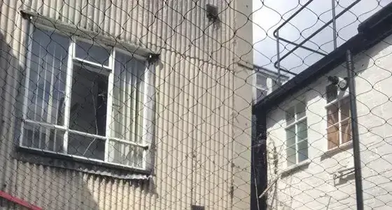 Effective Pigeon Proofing in Milton Keynes